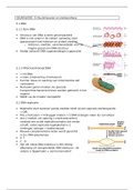 Celbiologie 1blc