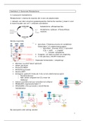 3 bacterieel metabolisme