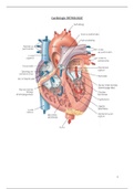 Cardiologie Pathologie 