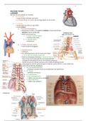 Anatomie bundel 