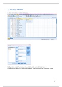 SPSS voorbereiding practicum 5