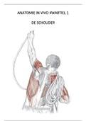 Anatomie in vivo schouder