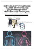 Opiniestuk beloningsverschillen in Nederland 