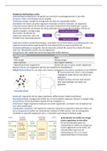 Dissimilatie, (voortgezette) assimilatie & fotosynthese