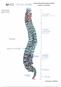 Volledige practicumatlas Osteologie