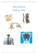 Wervelkolom - Samenvatting CWK en TWK 