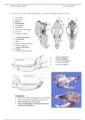 Digestie practica 1-15