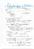 Molecular basis of inheritance