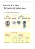 Psychologische Functieleer 1: Hoofdstuk 7 (Het langetermijngeheugen)