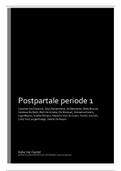 Samenvatting Postpartale Periode 1