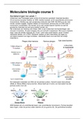 Moleculaire biologie course 5 leerjaar 2