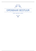 Beleidsimplementatie - Openbaar bestuur; Beleid, organisatie en politiek