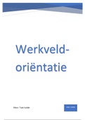 Werkveldoriëntatie 