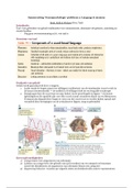 Samenvatting probleem 2 blok 3.6 Neuropsychology