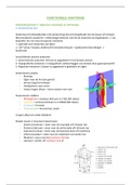 Samenvatting Functionele Anatomie UHasselt