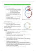Samenvatting H-5: Het Hartvaatstelsel voor AFPF, HBO-V
