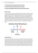 P3 M2 D2 Unit 13 - describe the primary and secondary structures of proteins, explain the tertiary and quaternary structures of proteins, discuss the relationship between the structure and function of proteins - Extended Diploma