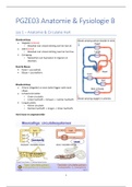 PGZE03 Anatomie & Fysiologie B