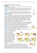 Hoofdstuk 6 DNA replicatie