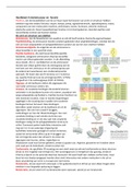 Hoofdstuk 4 eiwitstructuur en functie