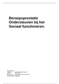 beroepsprestaties onderzoek naar sociaal functioneren, onderzoek naar grensoverschrijdend gedrag en begeleiden bij verandering, pijn en verliesverwerking 