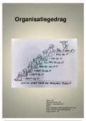 Moduleopdracht organisatiegedrag