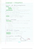 Energy and Enzymes - Lecture Notes
