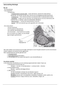 Samenvatting Histologie