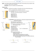 Biochemistry Ch 8 Lipids