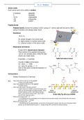 Biochemistry Ch 5 Proteins