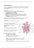 Verpleegkunde samenvatting Kerntaak 1 leerjaar 4