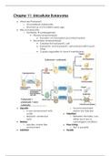 Zoology Exam 1 Lecture Notes