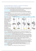 Hfst 3, vertebrate ontwikkeling I