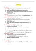 Med-surg 2 exam 2 study guide