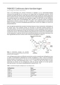 FABA302 Cardiovasculaire Aandoeningen Hoorcollege Secundaire Homeostase (week 3)