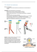 thema 4, membranen en transportprocessen