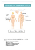 Samenvatting endocriene stelsel 