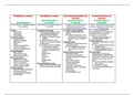 Sociaal-economische geschiedenis schematische voorstelling teksten