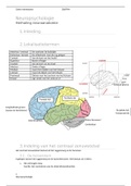 samenvatting neuropsychologie 