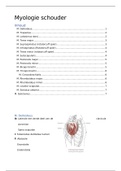 Myologie van de schouder