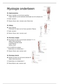 Myologie onderbeen/enkel