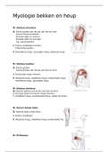 Myologie bekken en heup