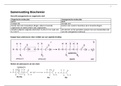 Samenvatting Biochemie (4 vwo stof, bijpassend bij 5vwo H11 Voeding en Vetering uit Nectar)