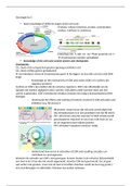 Samenvatting oncologie les 3