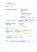 BIAG33 Structuur - Samenvatting