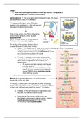 Summary - Genetics, reproduction and prenata