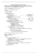 Samenvatting Biologie 2 - Biology, A Global Approach - 10th edition - Chapter 5-8 and 10.