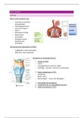 Samenvatting Stem (stem, AFP en geluidsleer) Logopedie jaar 1