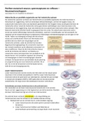 NEUROWETENSCHAPPEN - Perifeer motorisch neuron: spierreceptoren en reflexen - Samenvatting - 2018/2019