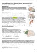 NEUROWETENSCHAPPEN - Centraal motorisch neuron: afdalende systemen  - Samenvatting - 2018/2019